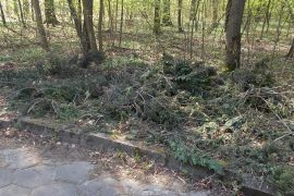 Próbowała wyrzucić sześć worków z odpadami zielonymi do Lasu pod Dąbrówkami