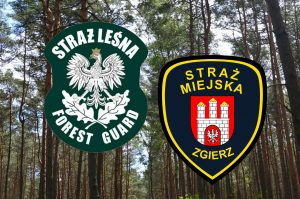 Wspólne patrole terenów leśnych na terenie Zgierza ze Strażą Leśną