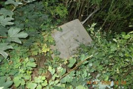 Nie miał co zrobić ze starą taczką, wyrzucił ją w krzaki